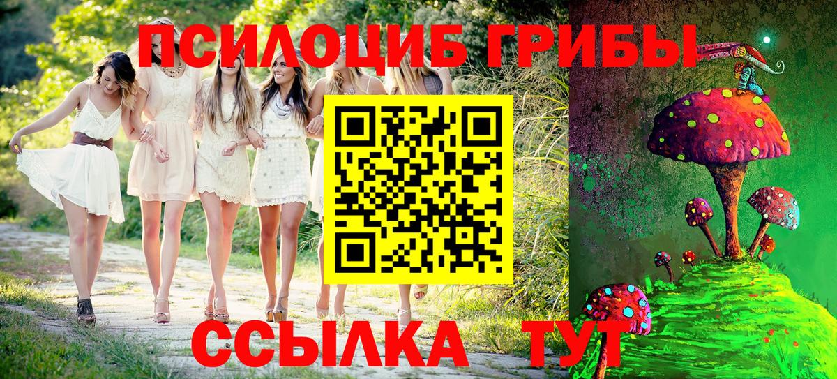 Псилоцибиновые грибы Psilocybe  Вход с VPN  как найти закладки  Петропавловск-Камчатский 